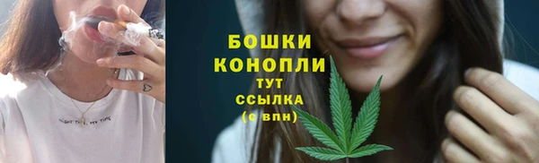 дживик Новозыбков